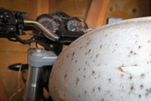 old,and,dirty,motorcycle,in,a,shed,,overgrown,,selective,focus